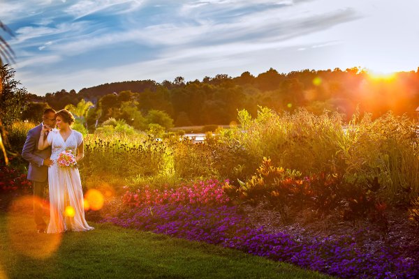 Ландшафт для свадьба