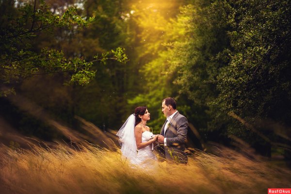 Красивые пейзажи для свадебного фото