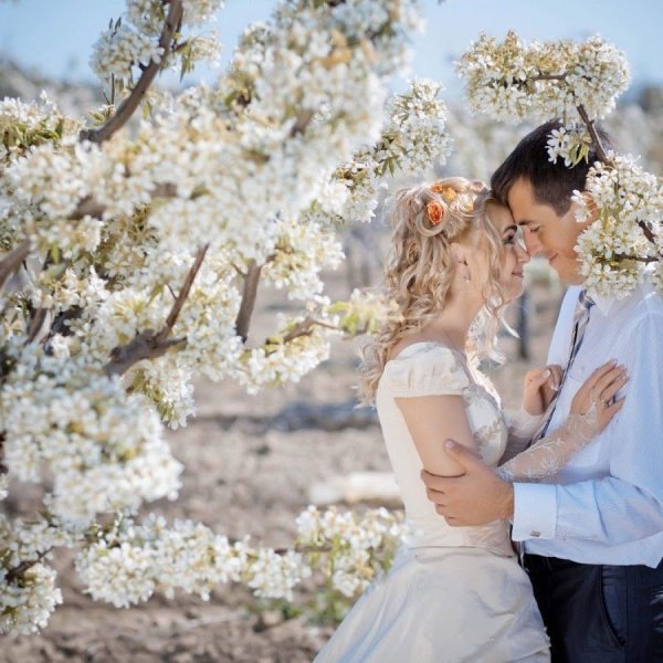 Лучшие Свадебные фотографы