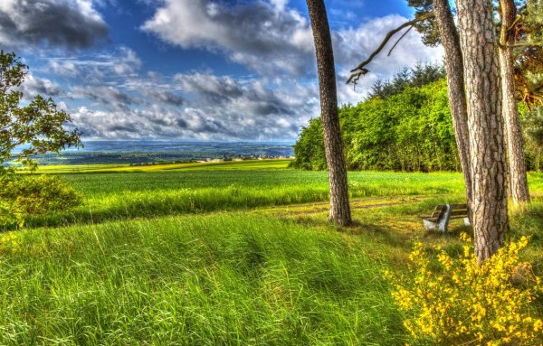Пейзаж лето