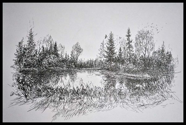 Графический рисунок пейзаж