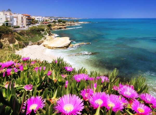 Кипр остров Цветущая