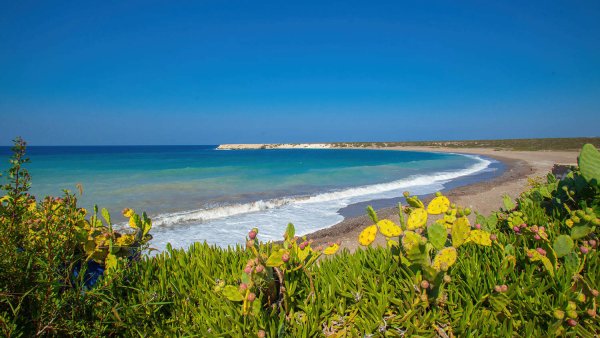 Египет Средиземное море