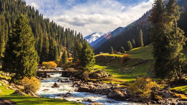 Горы Киргизии горные реки леса