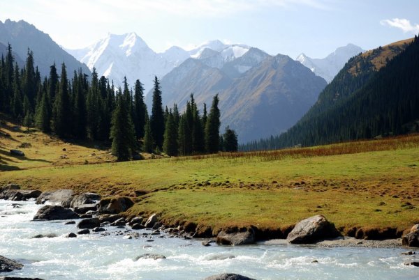 Ала ТОО тоолору