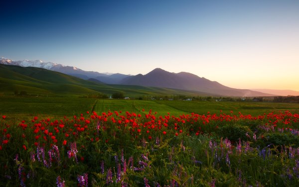 Природа Кыргызстана горы