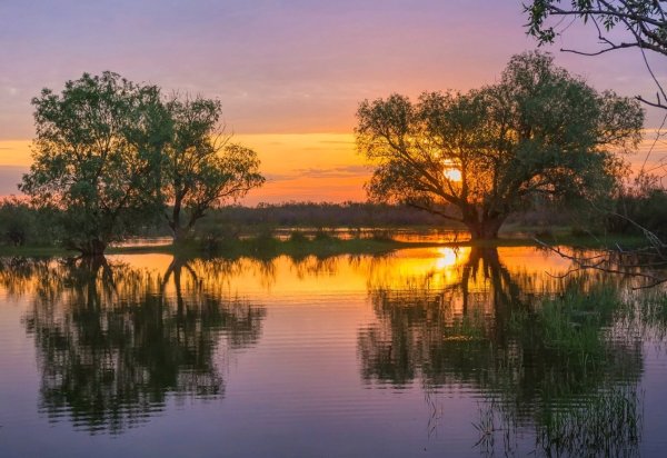 Фёдор Лашков Дельта Волги