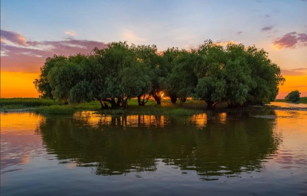 Дельта реки Волга Астраханская область