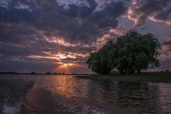 Природа Астраханского края