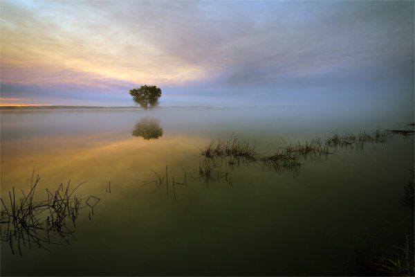 Астраханская область природа