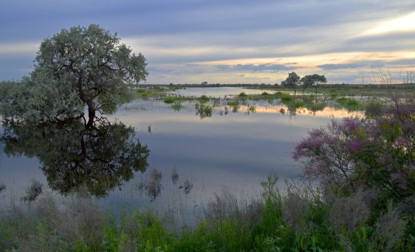 Волга в Астраханской области