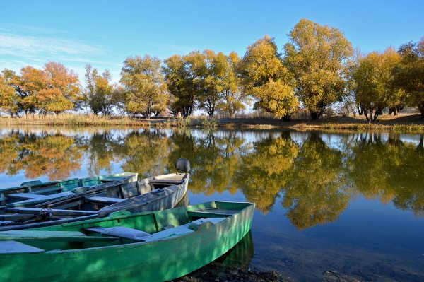 Астрахань природа