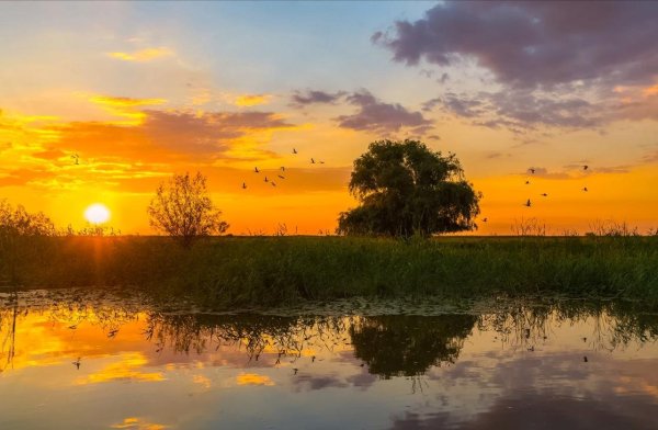 Астрахань Волга пейзаж