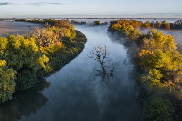 Астраханский природный биосферный заповедник