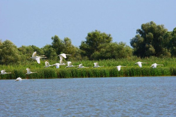 Астраханская область природа