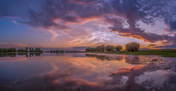 С.Цыбизов фотограф