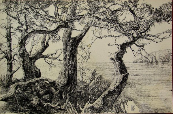 Галина Ершова художник