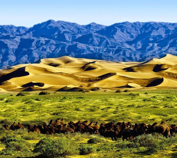 Монголия Елсен