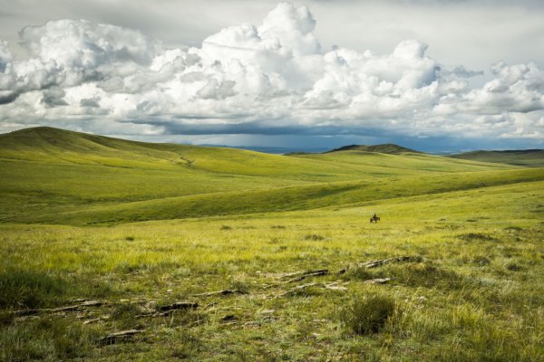 Равнины Монголии