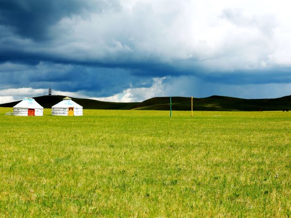 Поля Монголии