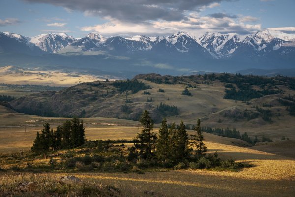 Вид на Северо-Чуйский хребет