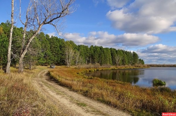Томская область осень