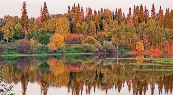 Томск природа