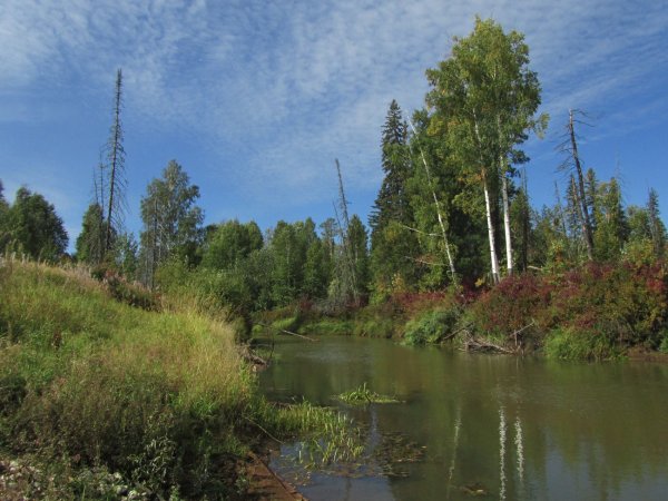 Пейзажи Томской области
