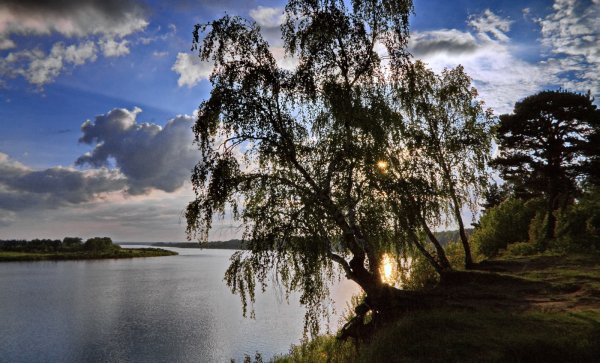 Томск природа