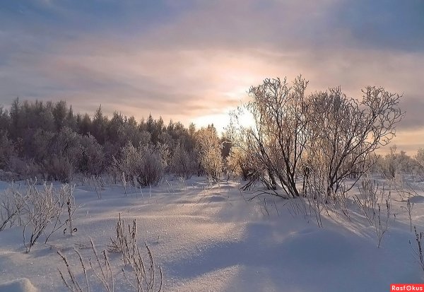 Зима в Сибири Томск