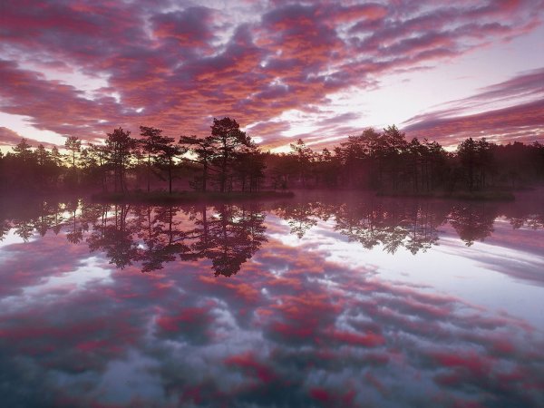 Эстетические пейзажи