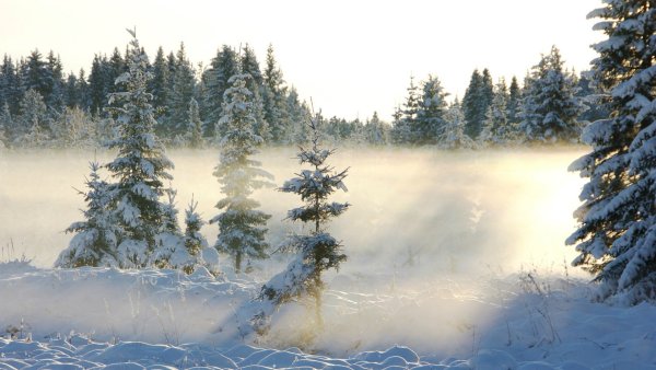 Февральский пейзаж