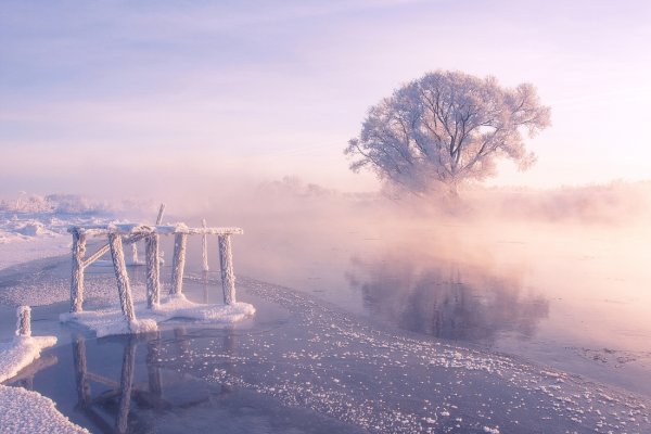 Солнце зимой