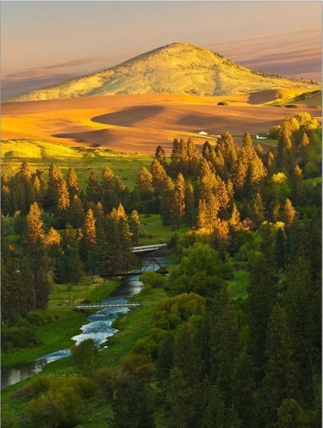 Лес штата Айдахо