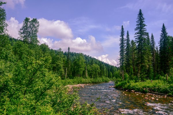 Кемеровская область Кузбасс природа