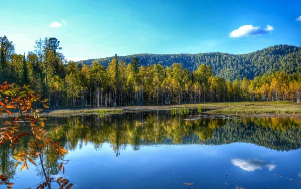 Горная Шория Таштагол