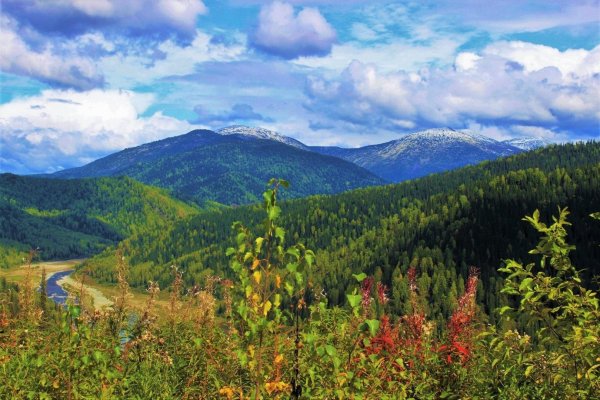 Гора зеленая Кузнецкий Алатау