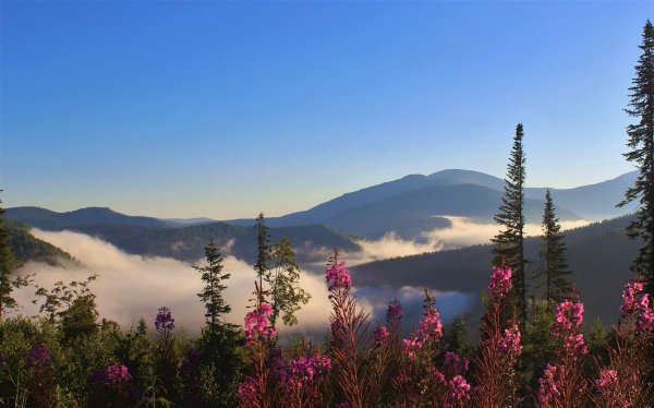 Кузнецкий Алатау Междуреченск