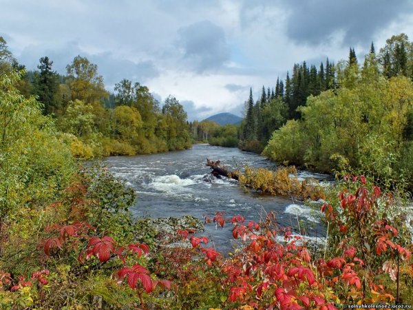 Кузнецкий Алатау Междуреченск фото