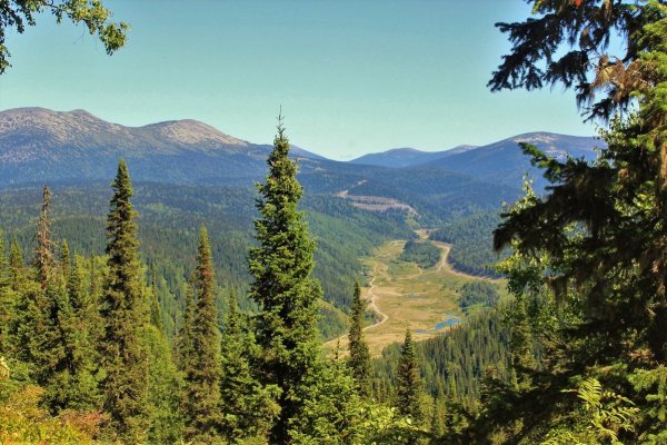 Гора зеленая Кузнецкий Алатау