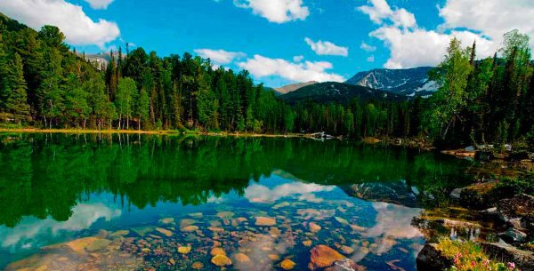 Лесное озеро Кемеровская область