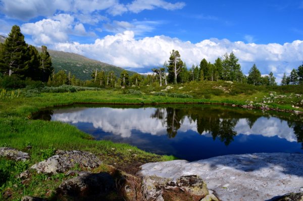Золотая Долина Кемеровская область