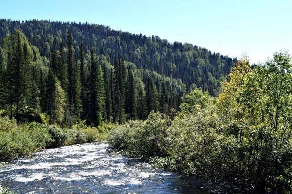 Горные реки Кузнецкого Алатау
