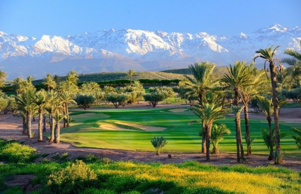 Марокко равнины Флора