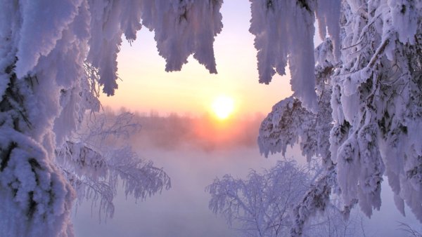 Зимние пейзажи Виктора Цыганова