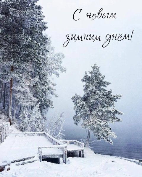 Открытки с добрым зимним днем