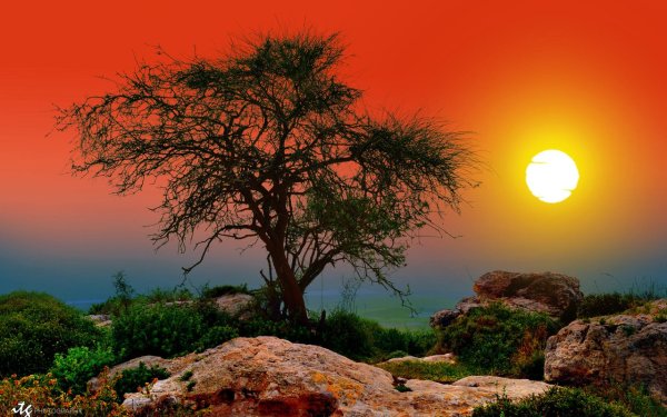 Красивая израильская природа