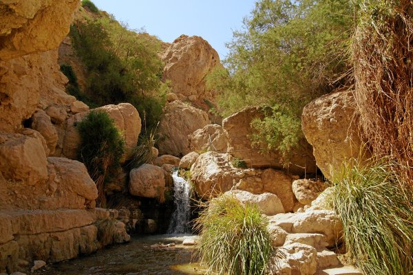 Древний Израиль природа