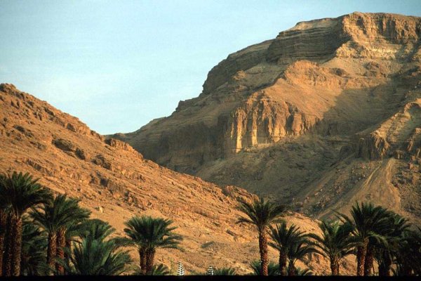 Горы Палестины