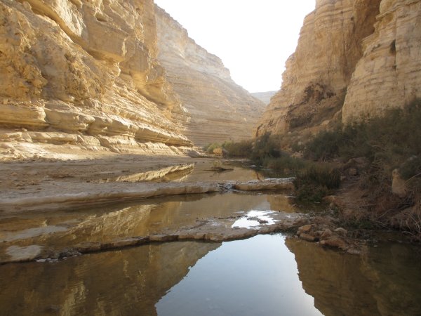 Палестина ландшафт